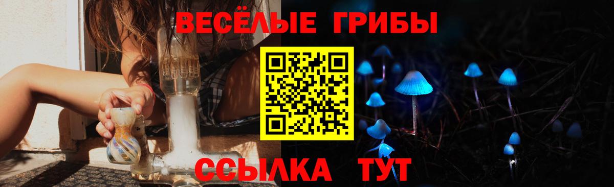 Галлюциногенные грибы MAGIC MUSHROOMS  Вход с VPN  Псилоцибиновые грибы GOLDEN TEACHER  Сатка 